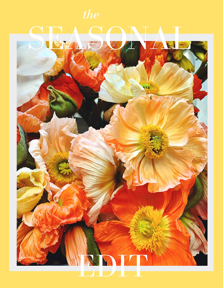 THE SEASONAL EDIT -SPRING 2023