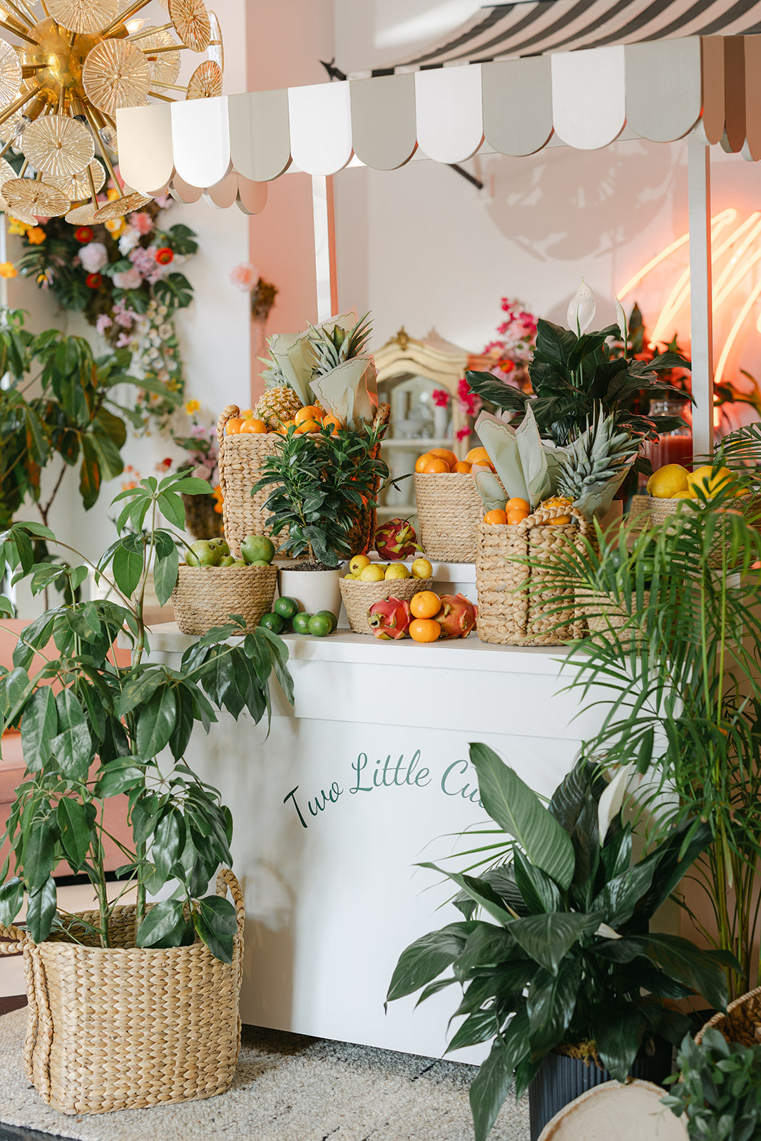 TRANSFORM OUR SHOWROOM