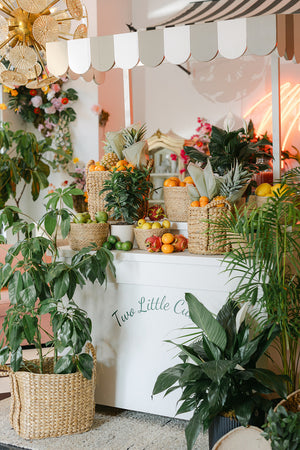 TRANSFORM OUR SHOWROOM